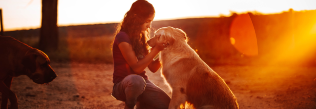 Work Stress and Your Dog's Well-being