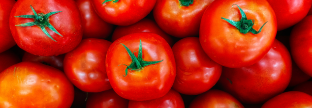 FDA Issues Severe Tomato Recall Warning in Southern US