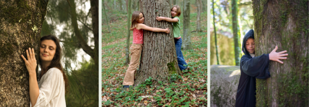 World Environmental Day 2025: How Green Therapy Can Help You Lower Anxiety And Depression