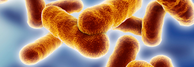 Anthrax Outbreak at Thai Tourist Hotspot: 1 Dead, 4 Hospitalized