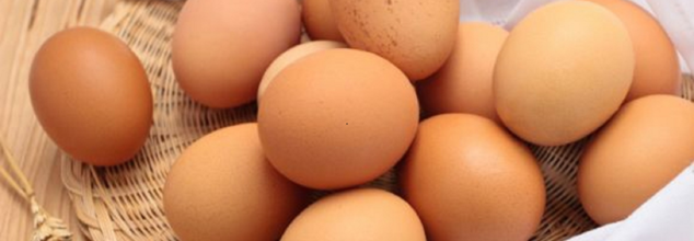 Salmonella outbreak in eggs