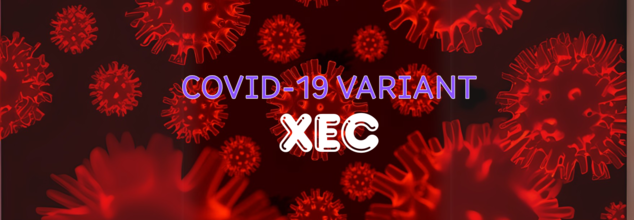 Worried About The New And Dominant COVID Variant XEC? 3 Things You Must Know