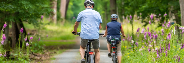 Study Finds Biking To Reduce Risk Of Dementia