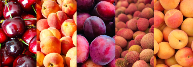 US Sees Stone Fruit Season, What Are The Benefits Of This Fruit