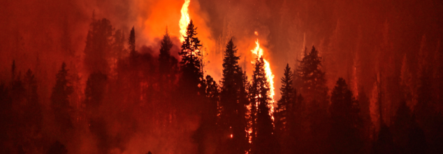 can wildfires increase risk of covid-19 and flu