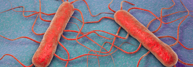 Listeria Outbreak in the US kills 3