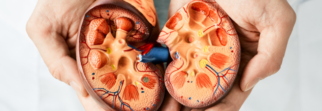 India among 4th globally among kidney cancer cases