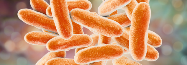 Legionnaires' Disease Outbreak In Sydney—One Dead, Dozens Exposed: What You Need To Know And How It Spreads?