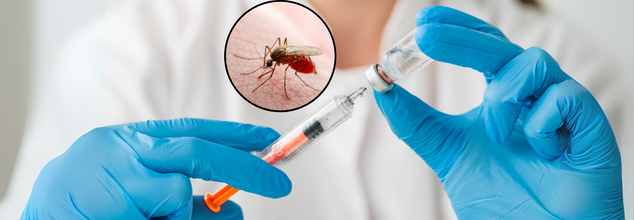 Oxford Researchers Develop 'One-Dose' Malaria Vaccine; Could It Transform Global Prevention Efforts?