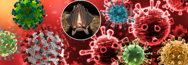 Scientists Find Over 20 New Bat Viruses In China, Warn Of “Critical Implications”