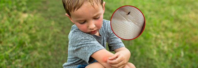Oropouche Virus Raises Public Health Concern With 23,000 Confirmed Cases