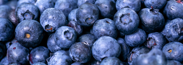 Blueberry Recall Update