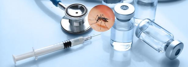India’s First Dengue Vaccine Nears Final Trial Stage