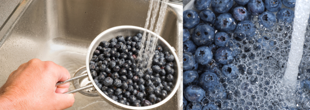 These Steps Will Wash Blueberries The Right Way And Remove Pathogens And Pesticides Residue