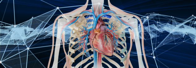 Scientists Have Developed An AI Model To Help Predict Sudden Cardiac Risks 'Most Doctors Can't See'