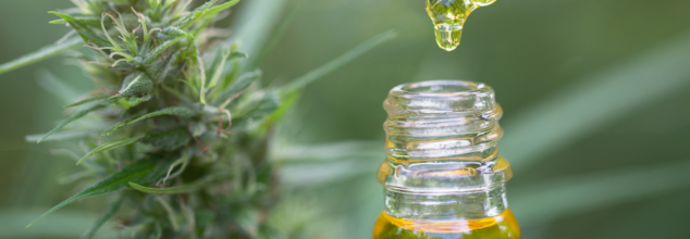 Lower Doses Of CBD Could Also Cause Liver Damage