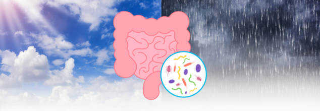 Does Seasonal Shift Mess With Digestion? Here’s How To Keep Your Gut Healthy