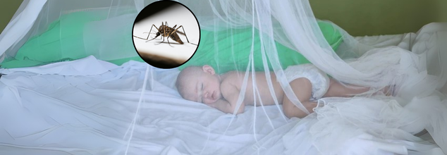 First-Ever Malaria Drug For Infants Approved, Here’s What It Means
