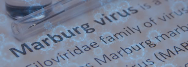 A Ugandan Scientist's Photos Reveal How Marburg Virus Can Spread To Different Species
