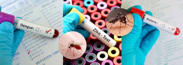 WHO Releases First-Ever Clinical Guidelines For Arboviral Diseases Amid Rising Global Threat