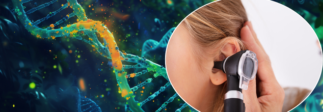 Scientists Just Fixed A 'Faulty' Gene Behind Deafness And Hearing Loss In Children