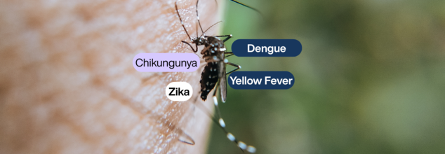 New WHO Guidelines Reveal The Blueprint To Manage Dengue, Chikungunya, Yellow Fever And Zika