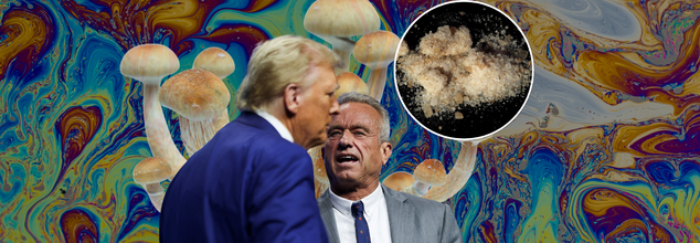 RFK Jr. And Trump Cabinet Want Psychedelics To Be Legal After FDA Shut Down; What This Means For The Controversial Drug