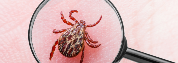 Family Shares How A Lyme Disease Misdiagnosis Cost Their Son's Childhood