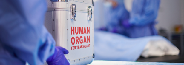 Federal Investigation Uncovers Failures in Organ Donation Protocols, Triggers National Reforms