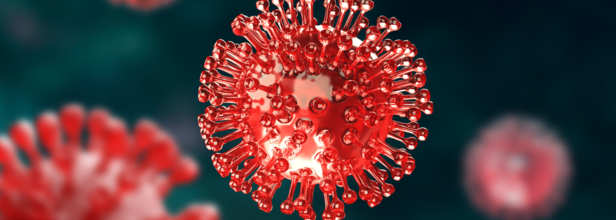 COVID-19 Cases On The Rise In US, Why Does It Increase In The Summers?