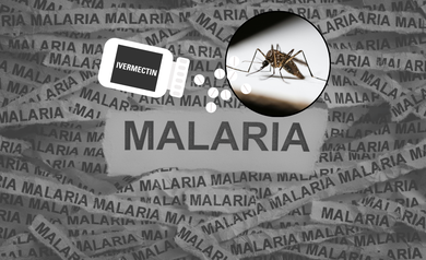 Ivermectin Proven To Cut Malaria Cases By 26%, Study Finds—Here’s How It Works