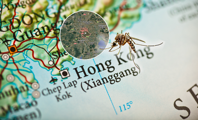 With Over 3,100 Infected, Deadly Mosquito-Borne Virus Spreads Rapidly In China—Is It Climate, Travel, Or Both?