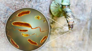 Cholera Scare Rises In West and Central Africa With 8,000 Children At Risk