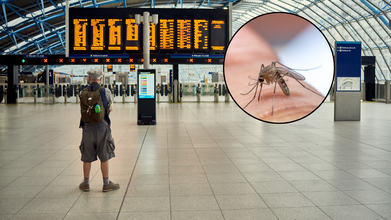 With Nearly 5,000 Active Cases Of This Deadly Virus, CDC Considers Travel Warning For China