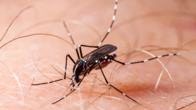 US Weighs China Travel Warning As Chikungunya Cases Near 5,000: Report