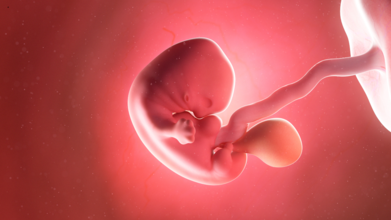 Baby Born From 30-Year-Old Frozen Embryo Sets Record: Here's All That We Know About It
