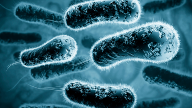 Legionnaire’s Disease Harlem Outbreak: 3 Dead, 67 Sick; Health Authorities Have Identified ZIP Codes Linked With Cluster