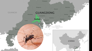 Mosquitoes Deployed To Kill Virus-Carrying Mosquito Larvae: How China Is Using Biological Weapons To Wage War Against Chikungunya