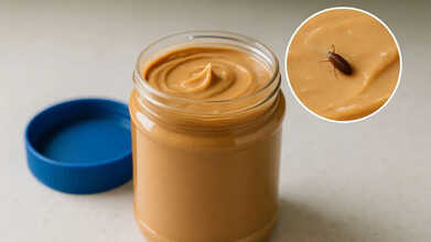 Foods That Might Contain Insects: The List Will Left You Surprised