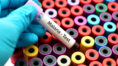 Delhi Malaria Cases Increase, Highest Number Of Cases In 5 Years