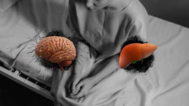 Blocking Brain-Liver Signals Could Stop Cancer-Related Weight Loss, New Study Reveals