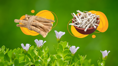 Ashwagandha, Brahmi, Shatavari: Ayurvedic Trinity Every Woman In Her 20s Must Know