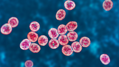 Dozens Sickened, Four Dead In New York City Legionnaires’ Outbreak: Are NYC’s Cooling Towers Really The Problem?