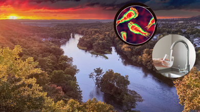 Missouri Resident Hospitalized With 97% Fatal 'Brain-Eating' Infection While Waterskiing: How Real Is The Risk At Home?
