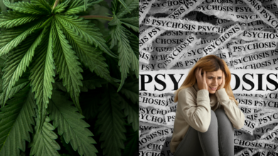 Cannabis-induced psychosis