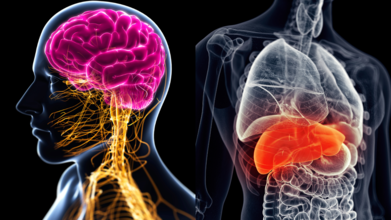 Liver cirrhosis can affect your brain