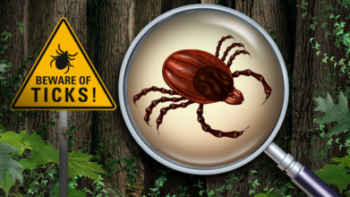 Which Ticks Are Living Around You?