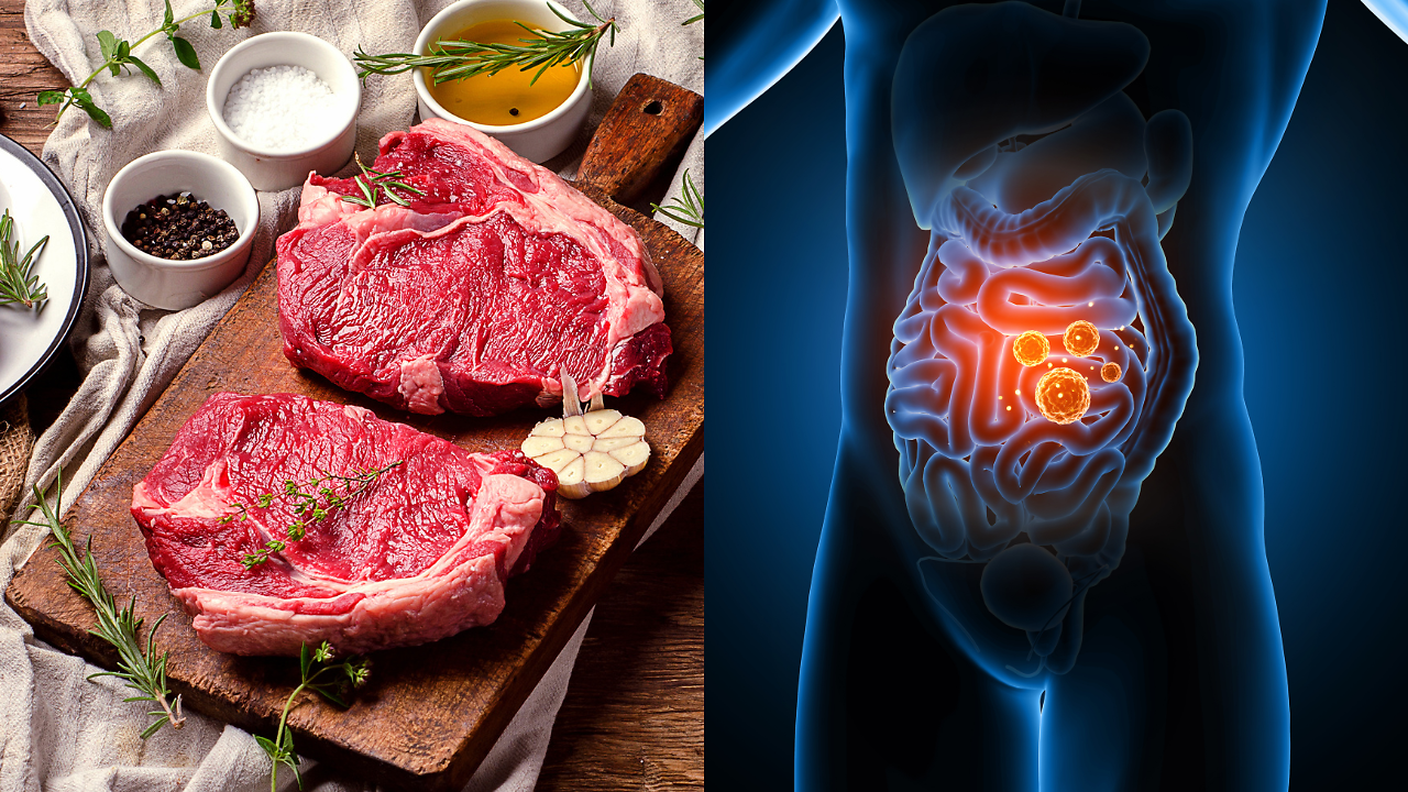 Beef, Pork, and Lamb Might Do More Than Fill You Up; Study Finds They ...