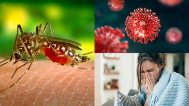 Dengue, Flu, Covid