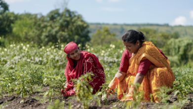 To Avoid Wage Loss, Women In Rural India Are Undergoing Hysterectomy